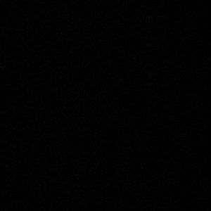 Meet your Posher, Bridget